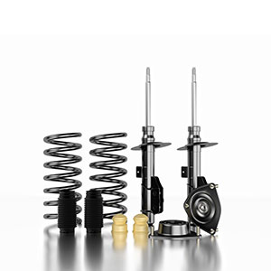 shocks struts
