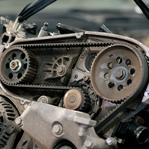 Timing Belts